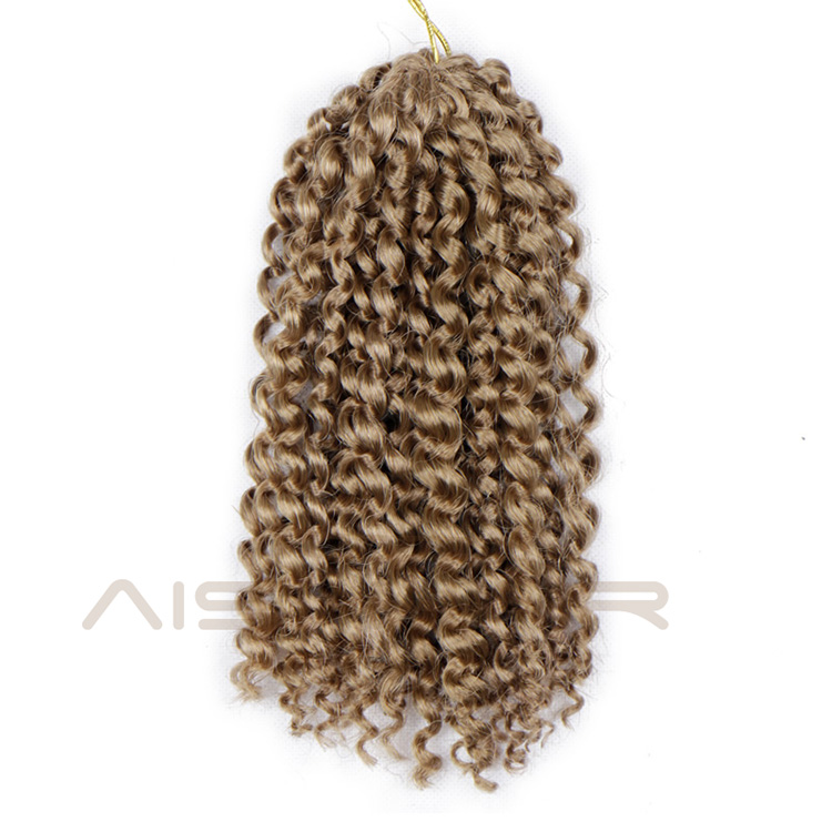 Aisi Hair Synthetic Marly Braids Hair Extensions Black Brown Bug Afro Crochet Hair Braids for Black Women