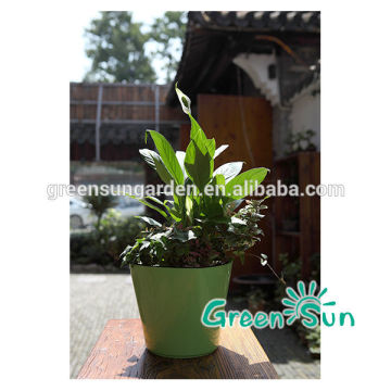 planter, plastic planter, green small planter