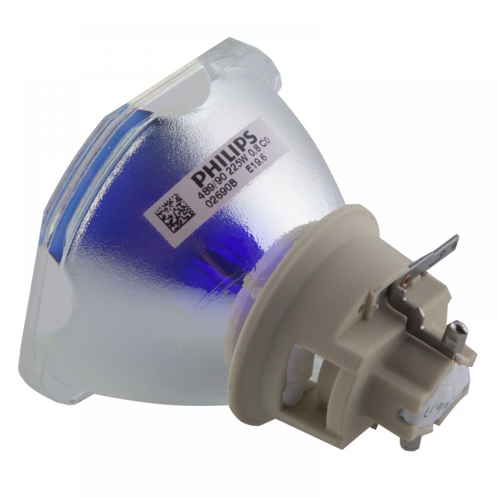 DT02081 bare bulb DT02081 bare bulb