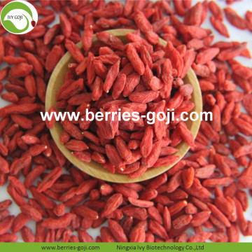 New Harvest Factory Supply Dried Ningxia Wolfberry