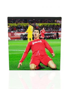 PH3 Indoor Sport Field LED Screen