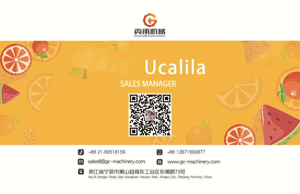 Automatic tomato paste processing machine tomato paste processing plant for sale