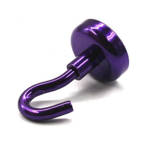 ganci porta magnetici viola