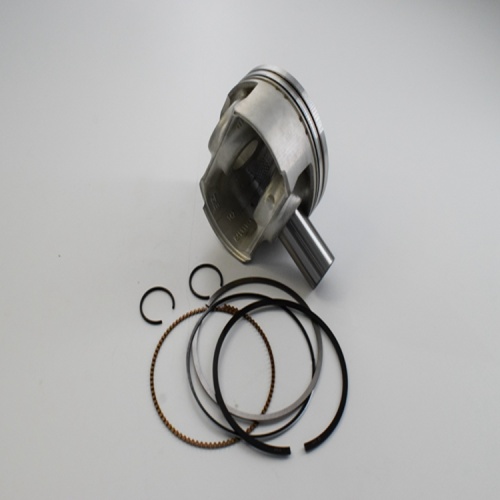Parts Piston With Piston Rings For All Model