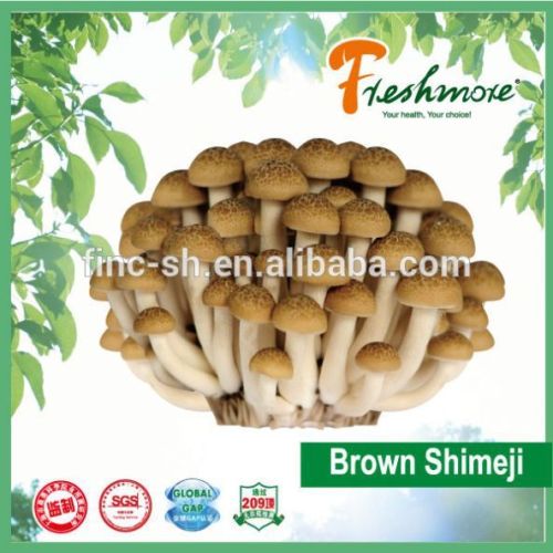 fresh edible Kea Hon Brown Shimeji mushroom