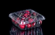 Low-profile Clamshell Ventilated Fruit Container