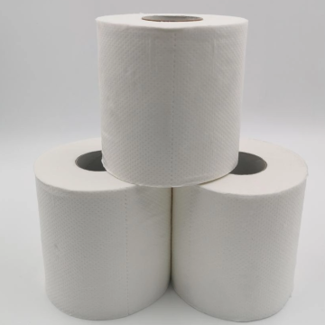 Toilet paper next to the toilet