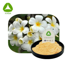 Plumeria Rubra Extrait Poudre Antiinflammation Ingrédients