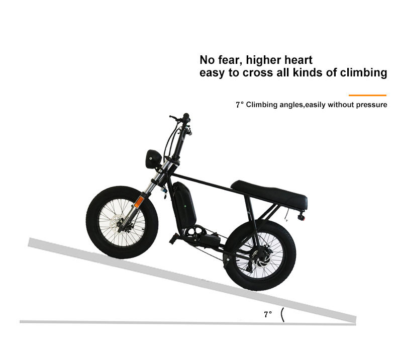 off road electric bicycle