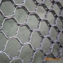 tortoise shell mesh
