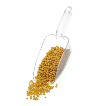 Clear Food Grade Polycarbonate Scoops - 56oz, 28oz, 20oz Plastic Candy Scoops