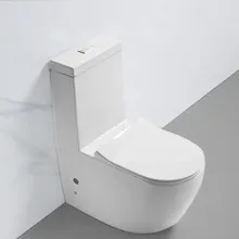 CE Europe Rimless S Trap 250mm WC Monoblock Ceramic Toilet Bowl
