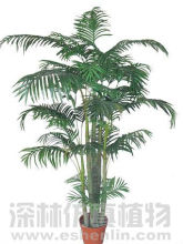 Hawai palm tree artificial tree