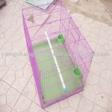 bird cage wire mesh