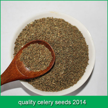 quality celery seeds