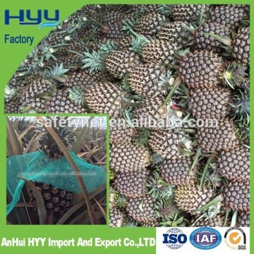 HDPE FRUIT PINEAPPLE SHADE NET