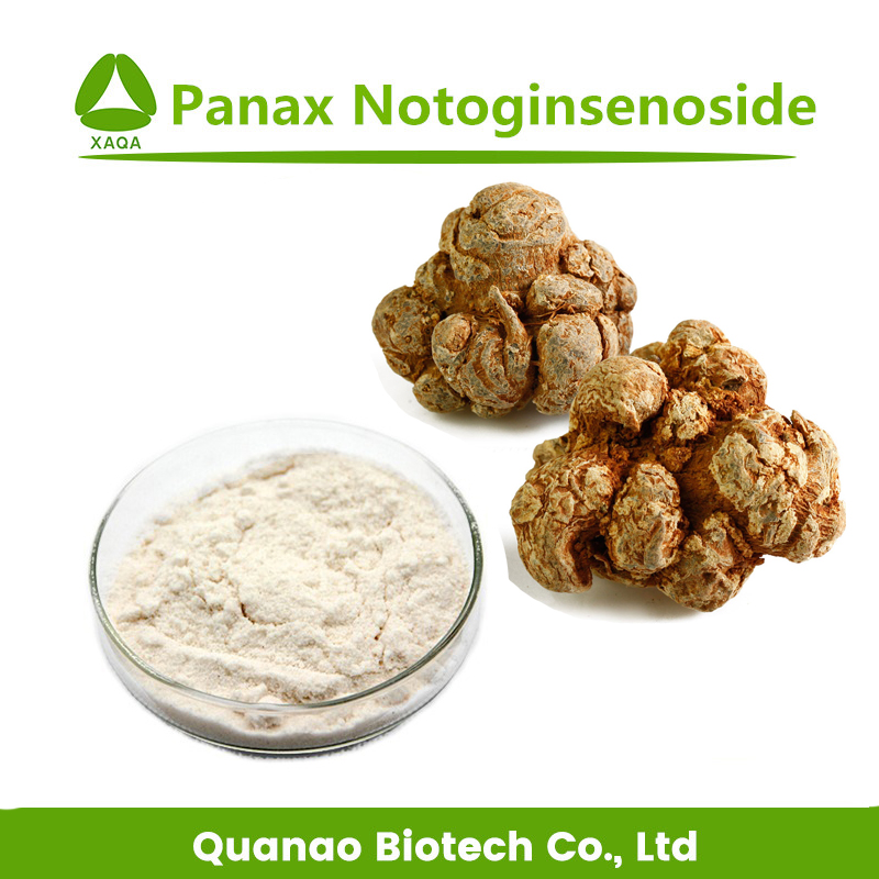 RADIX PANAX NOGINSENG Poudre d'amélioration de l'immunité