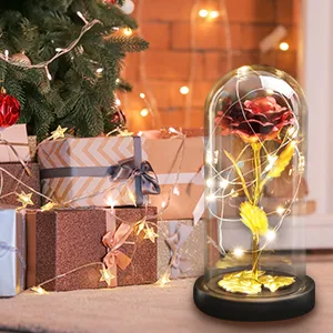 Galaxy Rose for Women, Glass Dome Rainbow Eternal Rose Gift