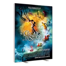 Carbon Fiberglass Rectangle Beach Flag Pole