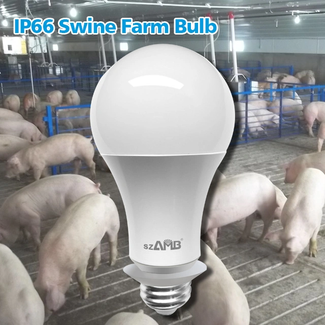 IP66 Szamb Poultry Farm Bulb with CE, ETL, UL, RoHS
