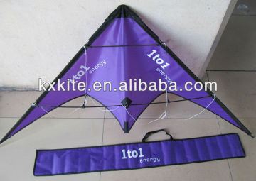 Dual line stunt Kite from kite maufacturer