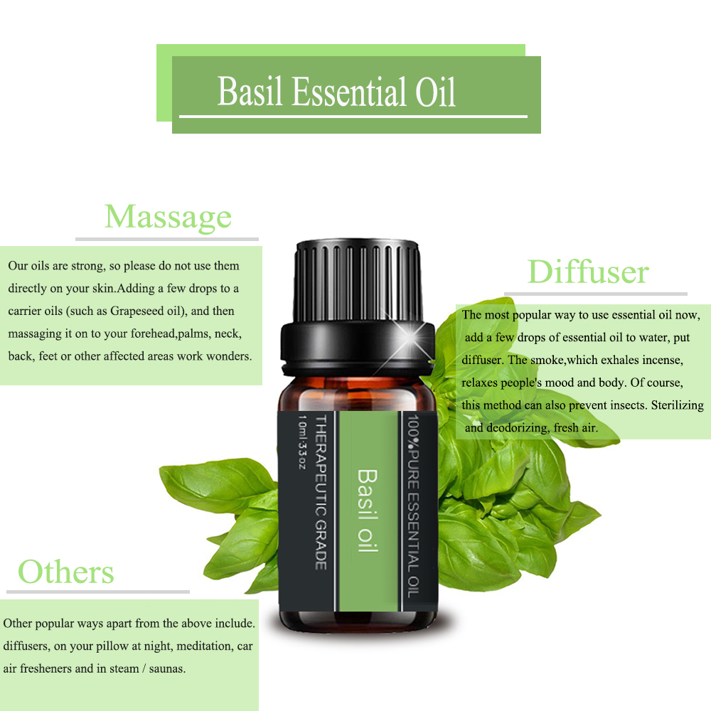 100%label pribadi Minyak Esensial Basil Herbal Herbal Murni