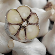 Garlic Puree for Easy Cooking Applications