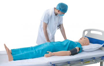Vital Signs & Trauma Evaluation Nursing Manikin