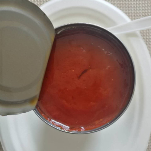 Canned mackerel fish in tomato sauce with oil