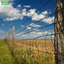 High Tension Military Protecting Barbed Wire