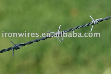 barbed wire&galvanized barbed wire&iron wire
