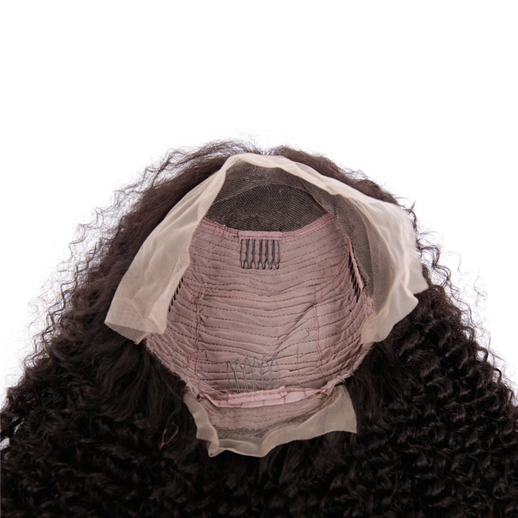 Brazilian Virgin Curly Human Hair Lace Wigs Pre Plucked Hair Line With Baby Hair For Black Women