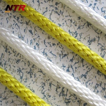 NTR diamond braided rope pet lead rope