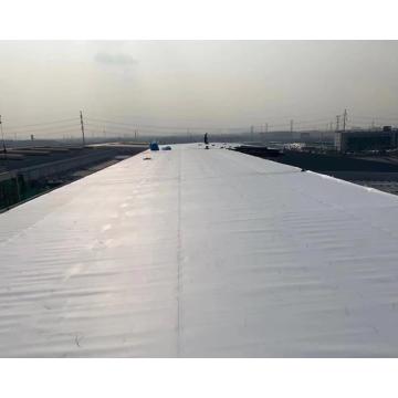 CFS Building Material TPO Waterproofing Membrane