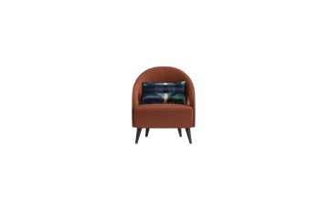 Modern lounge chair leather lounge chair