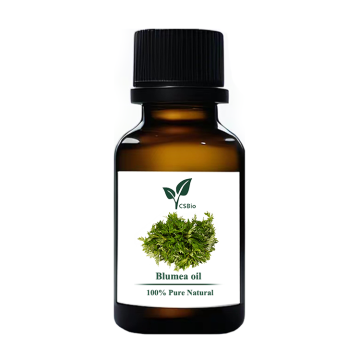 Blumea oil of pure essential oils bulk wholesale