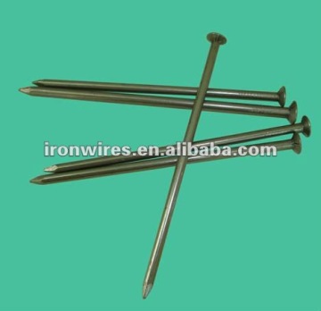 common nail/wood nail supplier from China