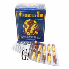 Amoxicillin Cápsulas 500mg Antibióticos