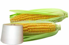 top quality natural corn fiber yarn Ne32/1(PLA yarn)
