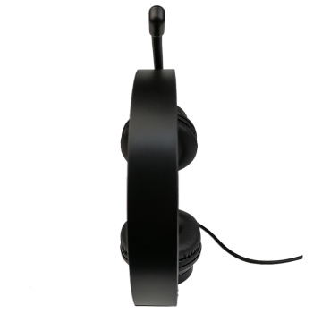 USB Computer Headset with Adjustable Microphone