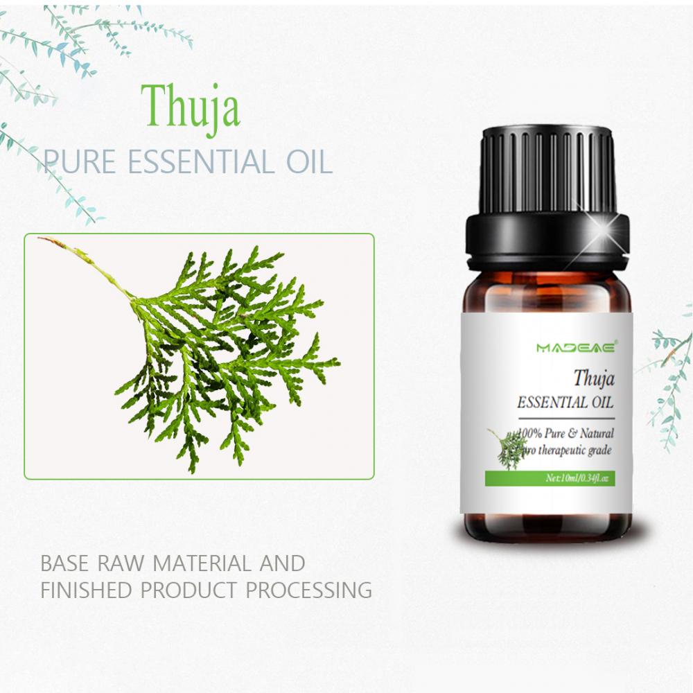 Huile essentielle de thuja soluble pour les soins de la peau