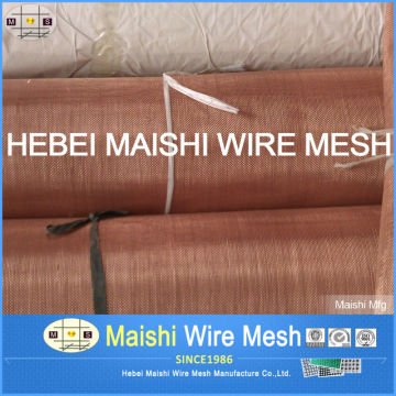 Brass Wire Mesh/cloth