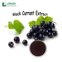 Black Currant Extract Powder