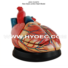 New Style Jumbo Heart Model-J3C3.19.307C