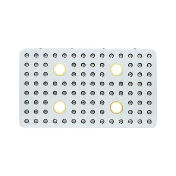 COB 2000W LED 식물은 빛을 발성합니다