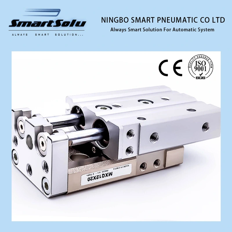 American Standard Stainless Steel Truck Linear Customized Pneumatic Air Cylinder