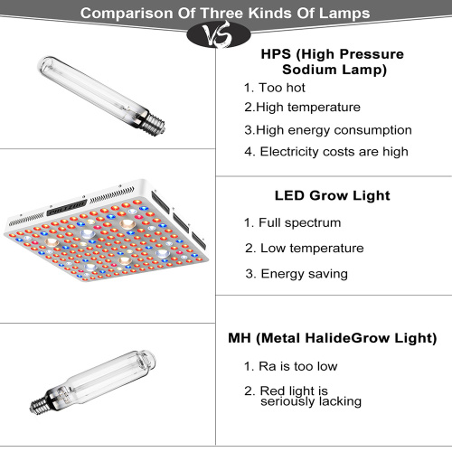 Gewächshäuser LED-Anlage wachsen Licht COB 3000W