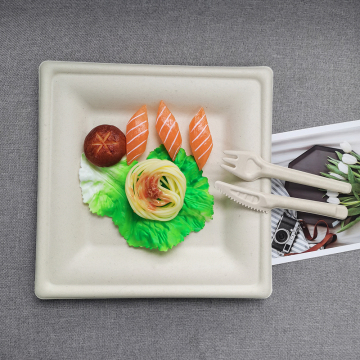 Disposable Custom Printingr Bagasse 8inch Food Trays