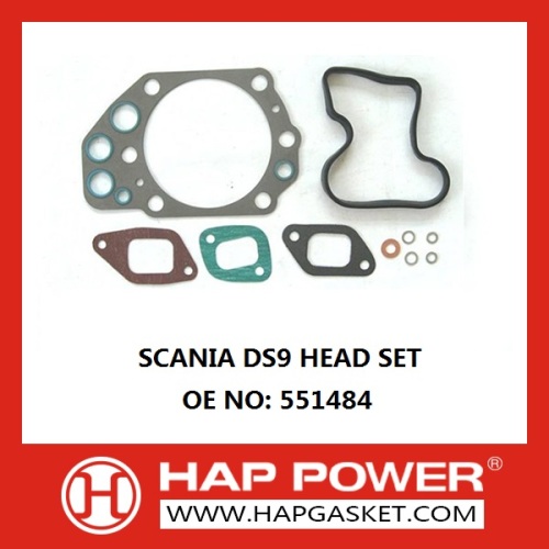 Scania Dichtung Set 551484