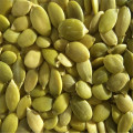 Best+price+wholesale+Organic+Pumpkin+seeds+kernels